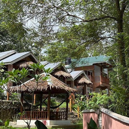 Asim Paris Guesthouse & Jungle Trekking Bukit Lawang Exterior photo