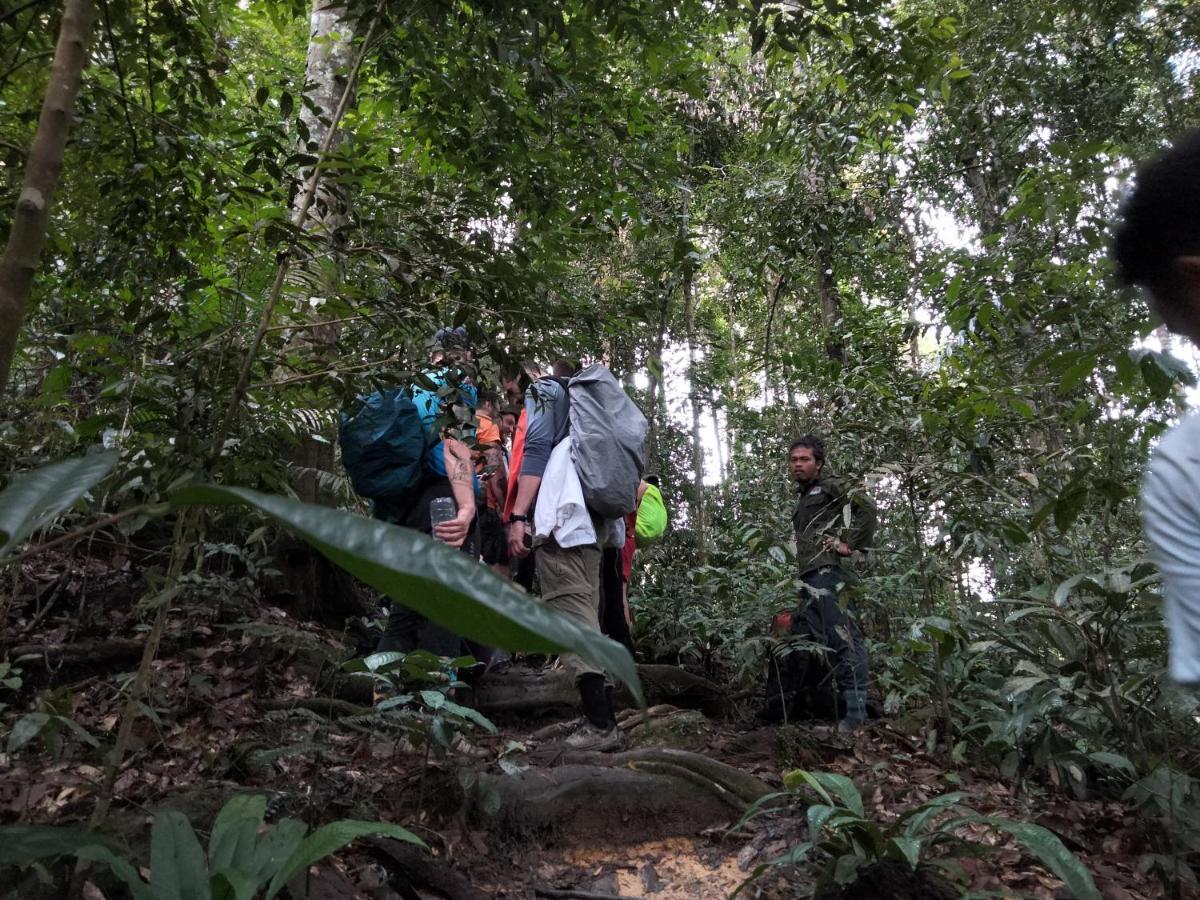Asim Paris Guesthouse & Jungle Trekking Bukit Lawang Exterior photo