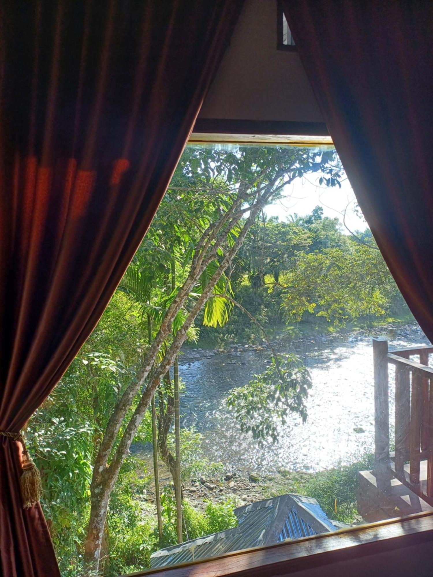 Asim Paris Guesthouse & Jungle Trekking Bukit Lawang Exterior photo