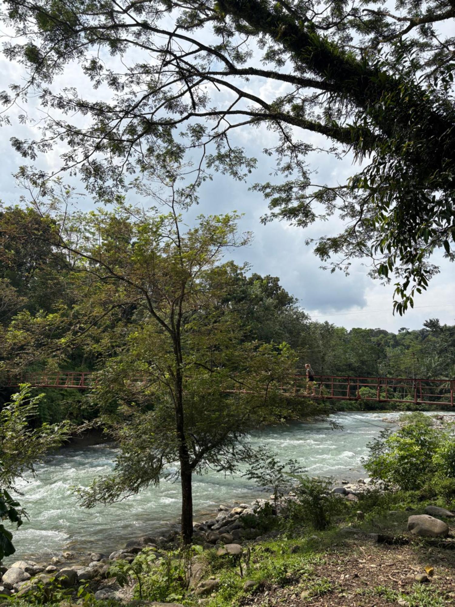 Asim Paris Guesthouse & Jungle Trekking Bukit Lawang Exterior photo
